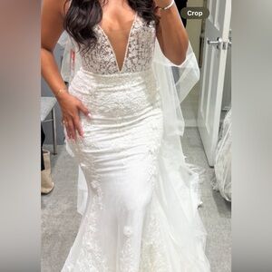 Stunning White Lace Bridal Gown